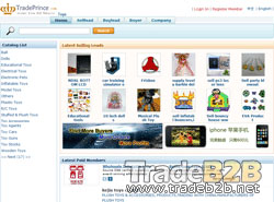 Toys.tradeprince.com - China Toys B2B website to Global Foreigh Trading